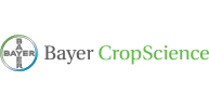 Bayer